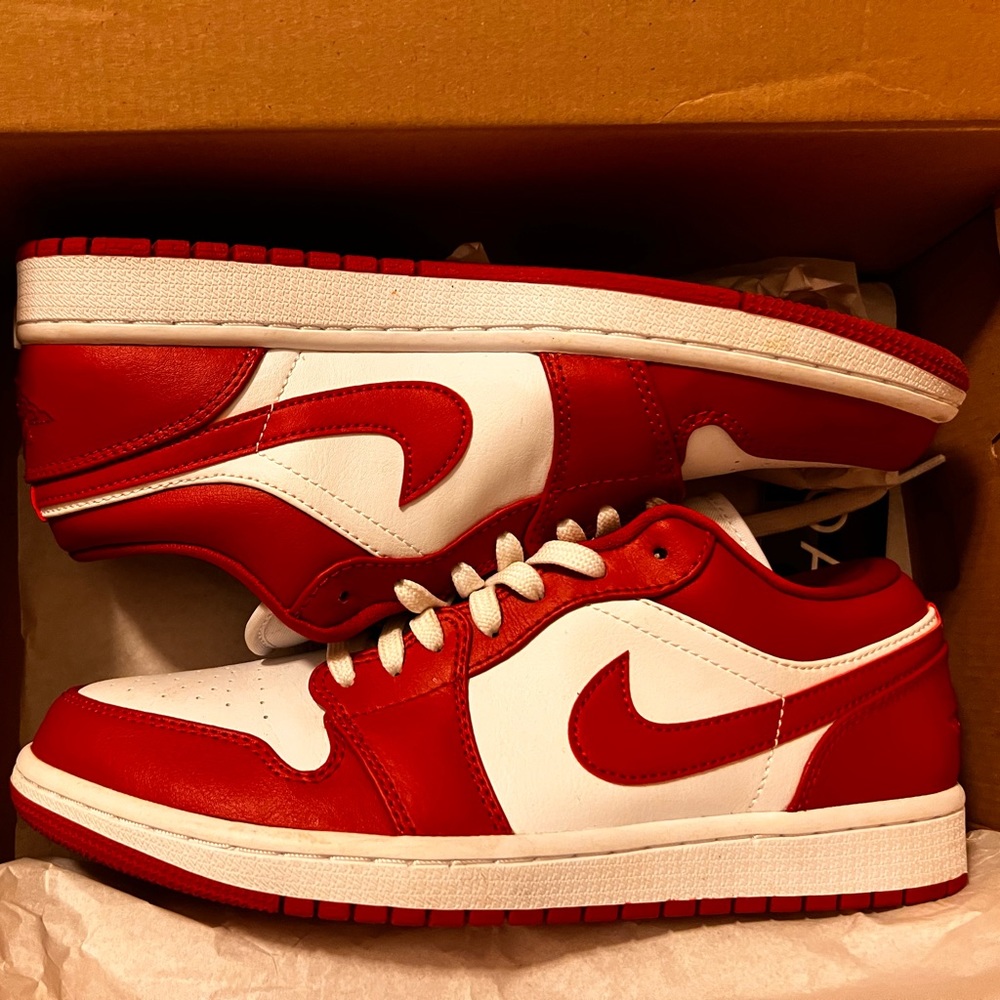 Nike Dunk Low Retro Red
